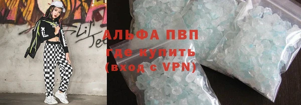 прущие грибы Верея