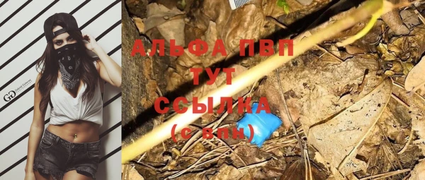 прущие грибы Верея