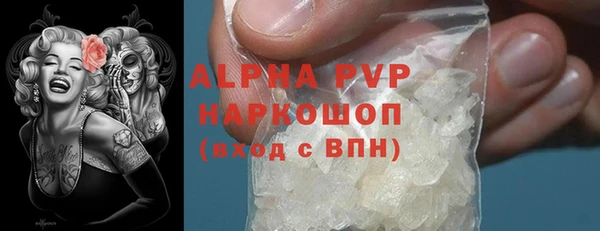прущие грибы Верея