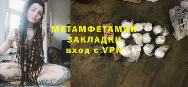 гидра Инта
