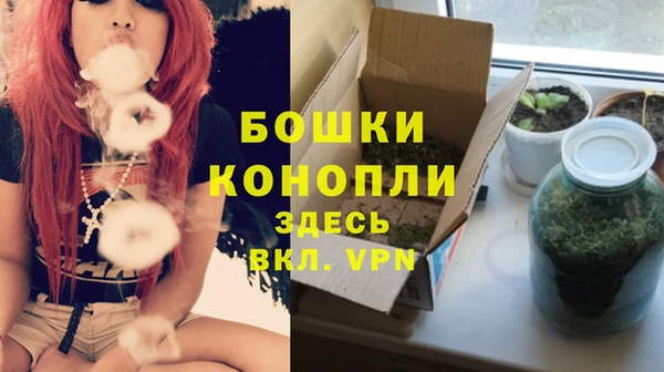 мяу мяу мука Бородино